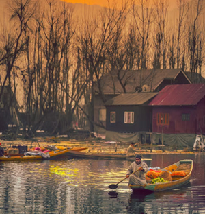 Kashmir